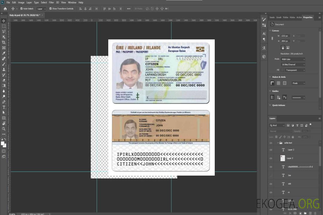 Carte d'identité d'Irlande template Carte d'identité d'Irlande template